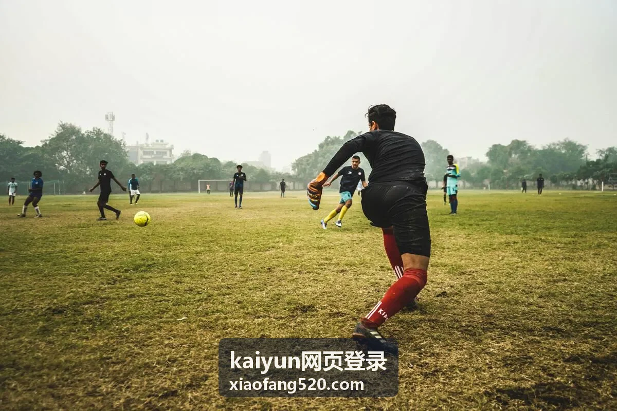 kaiyun网页登录 账号联系方式与找回路径核对示意图